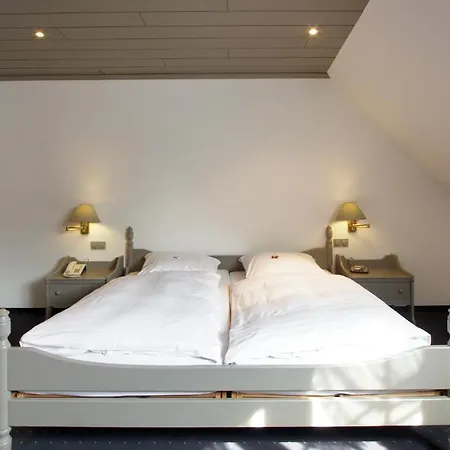 Goldener Stern Hotel 3*