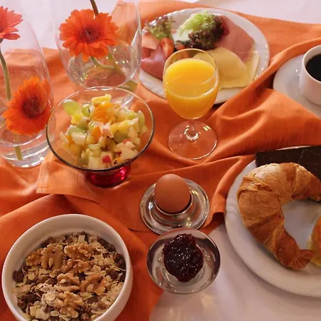 Goldener Stern Hotel 3*