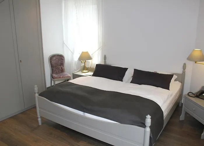 Goldener Stern Hotell 3*